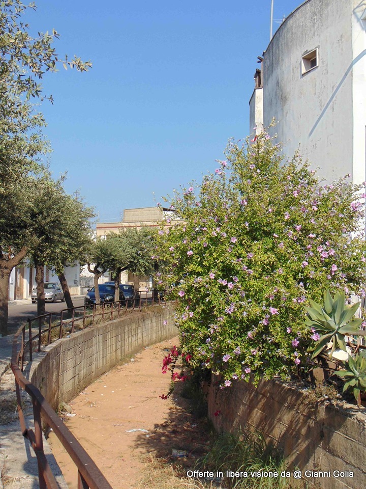 San Pietro Vernotico (BR) - Scorci suggestivi e architettura tipica - Memoria Storica